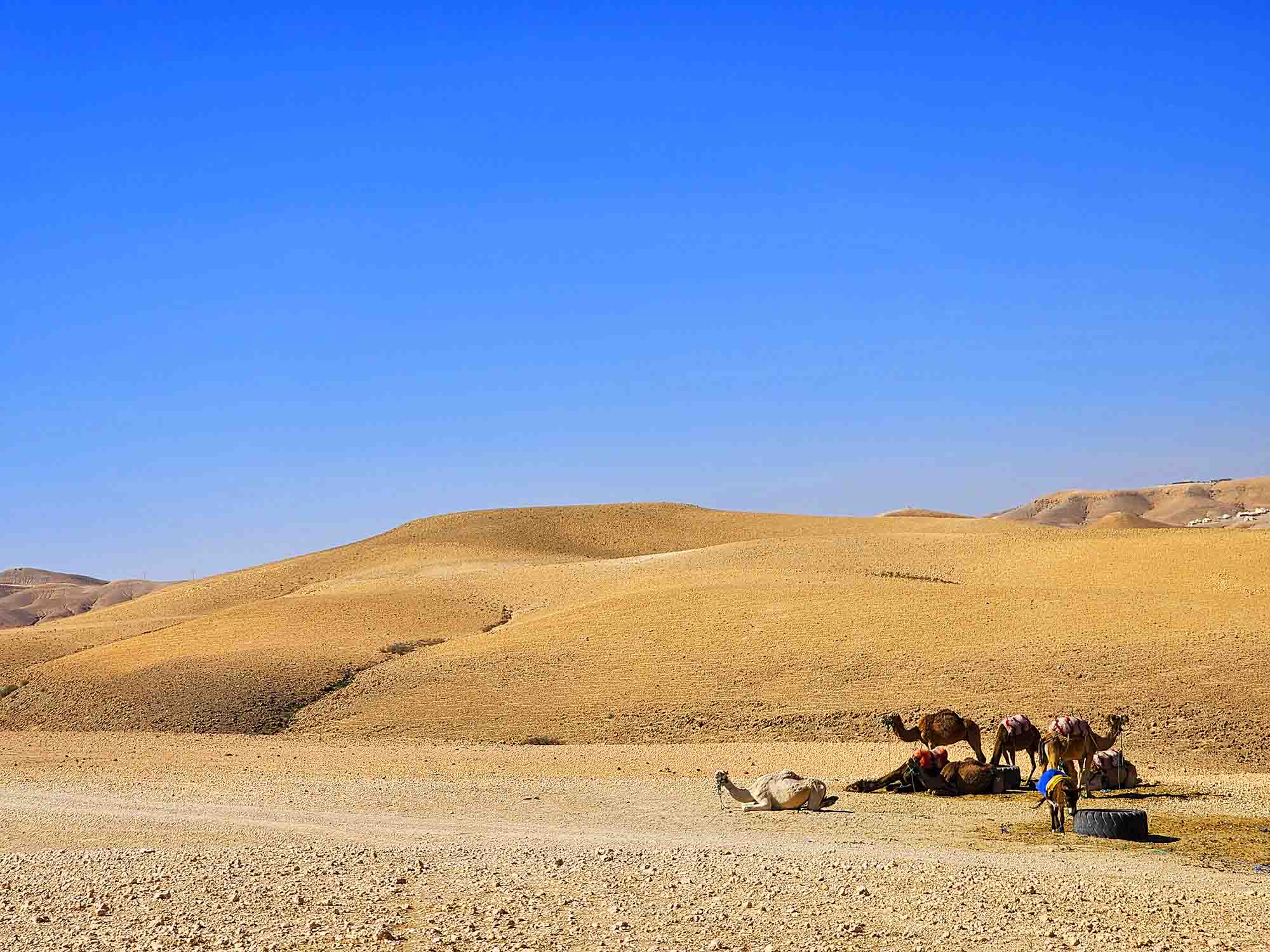 Le désert d’Agafay près de Marrakech