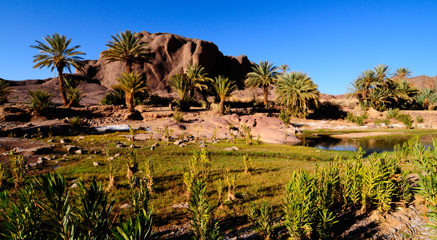 L’oasis de Fint dans le Sud marocain