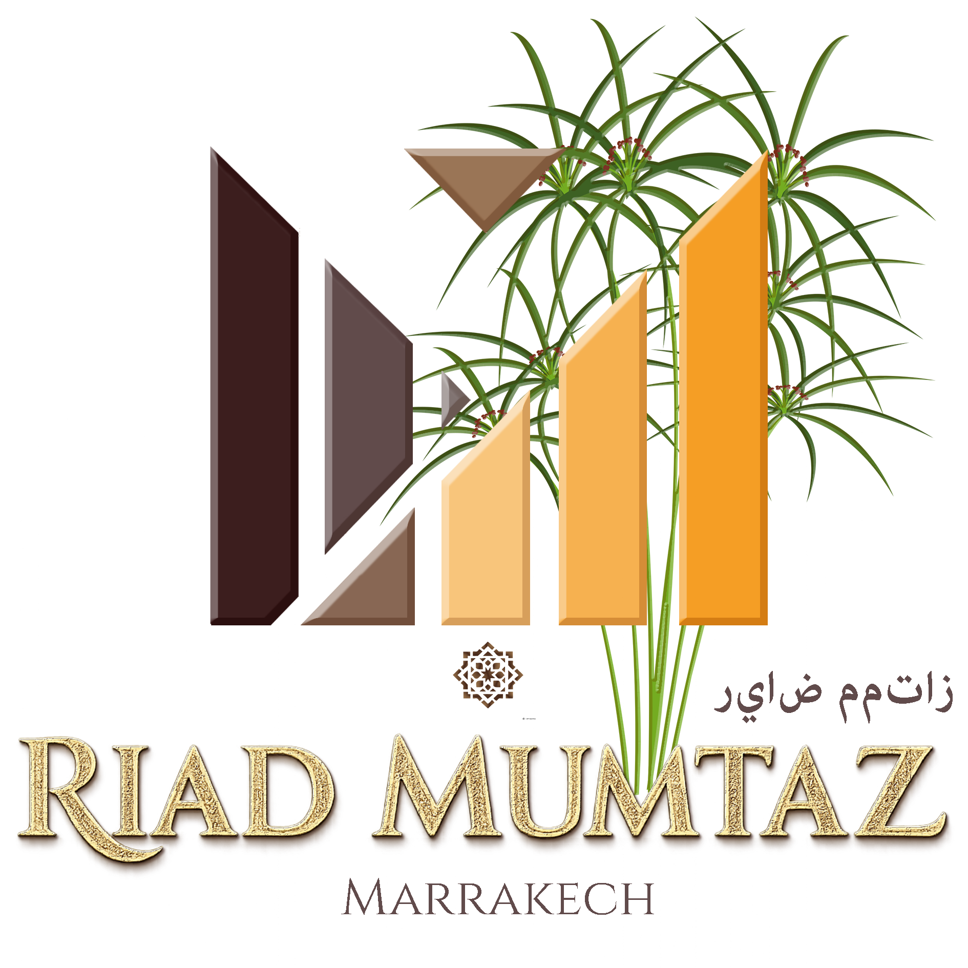Riad Mumtaz Logo